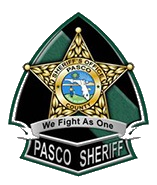 PSO Badge